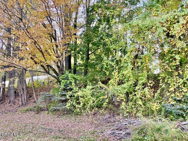 1169 Ny-295 Canaan NY 12060