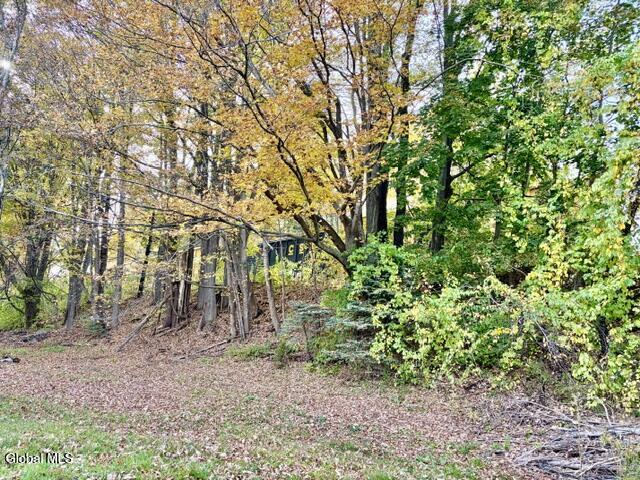 1169 Ny-295 Canaan NY 12060