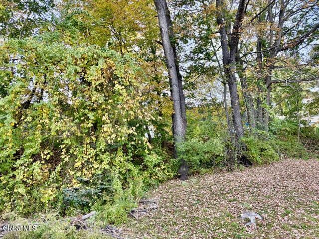 1169 Ny-295 Canaan NY 12060