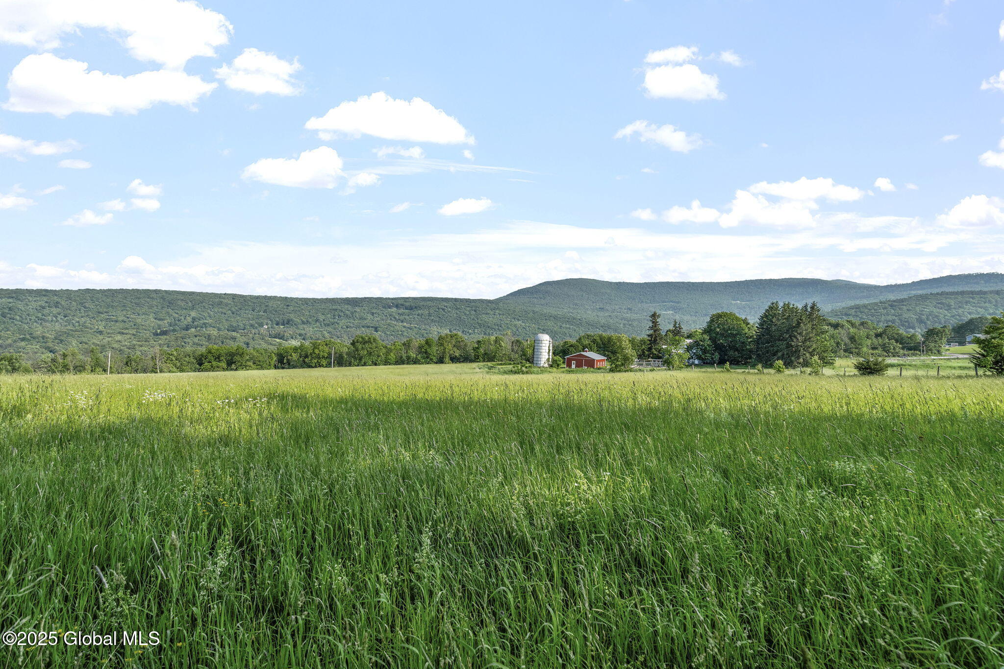 378 County Route 354 Preston Hollow NY 12469