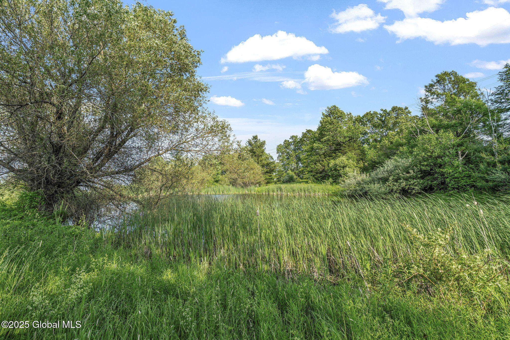 378 County Route 354 Preston Hollow NY 12469
