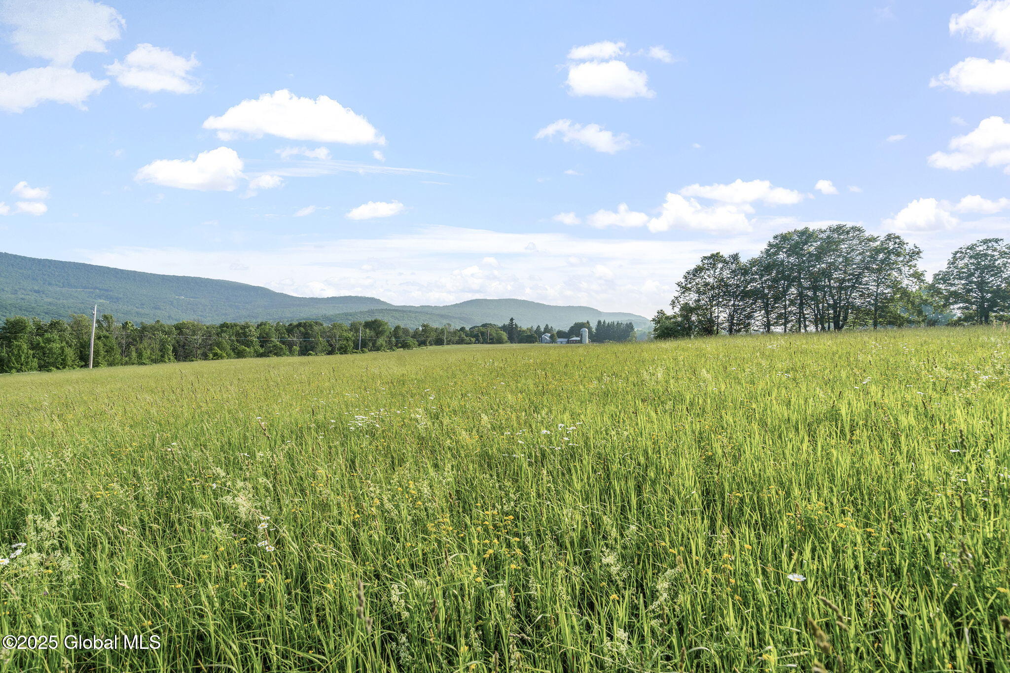 378 County Route 354 Preston Hollow NY 12469