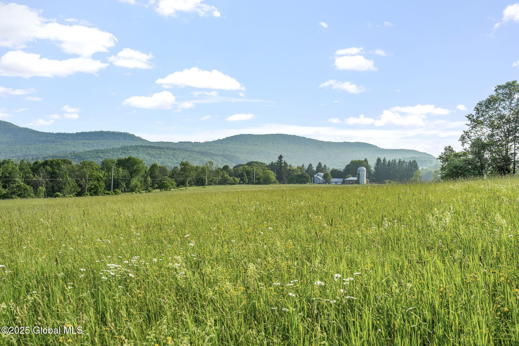 378 County Route 354 Preston Hollow NY 12469