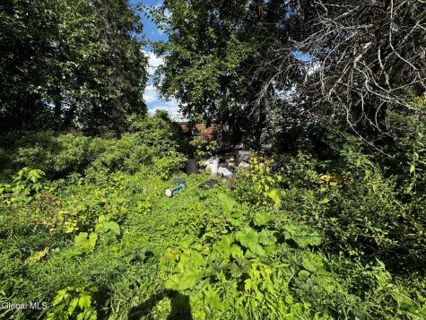 51 Slingerland Street Albany NY 12202