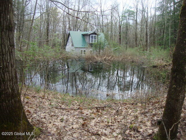 152 Fred Ottaway Road Cooperstown NY 13326