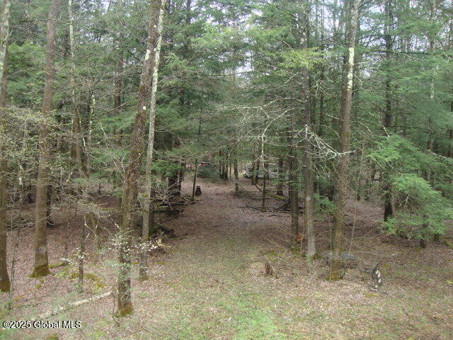 152 Fred Ottaway Road Cooperstown NY 13326