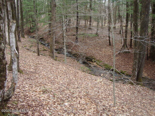152 Fred Ottaway Road Cooperstown NY 13326