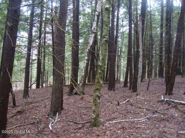 152 Fred Ottaway Road Cooperstown NY 13326