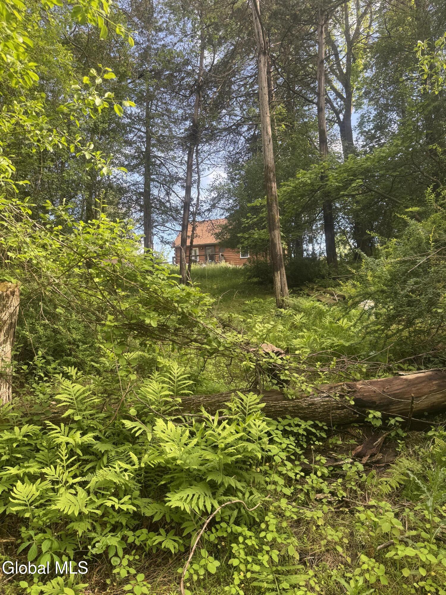 26 Squire Lane Athens NY 12015