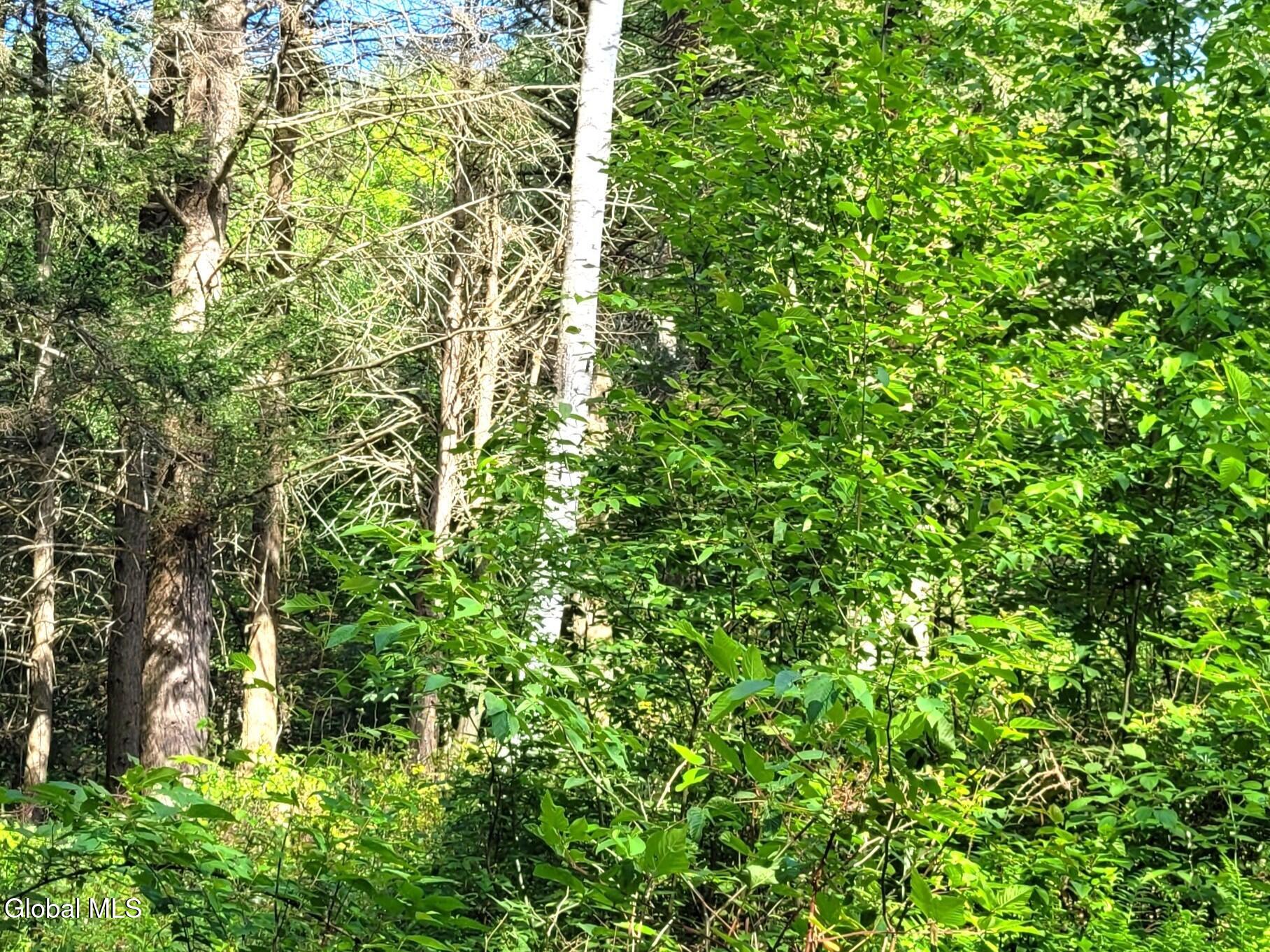 119 Brown House Road Gilboa NY 12076