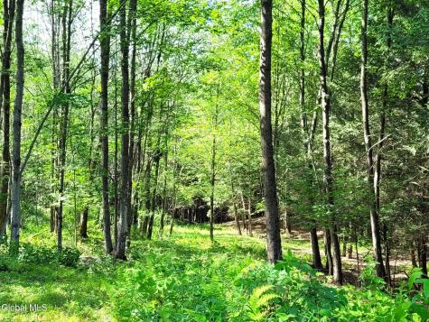 119 Brown House Road Gilboa NY 12076
