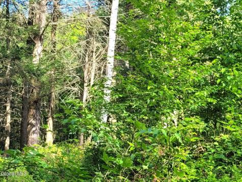 119 Brown House Road Gilboa NY 12076