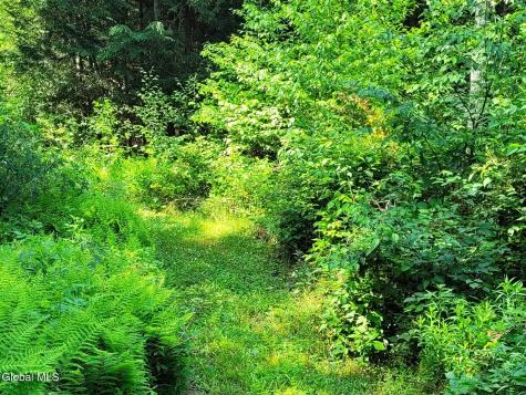 119 Brown House Road Gilboa NY 12076