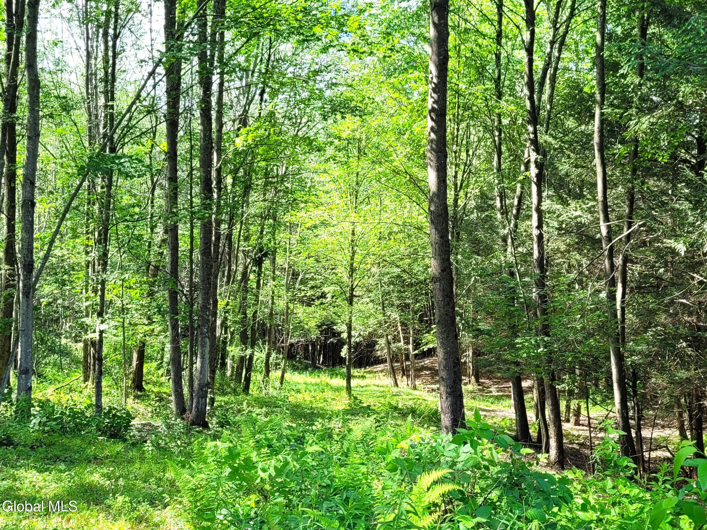 119 Brown House Road Gilboa NY 12076