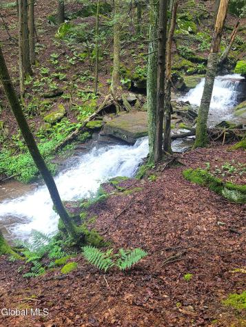119 Brown House Road Gilboa NY 12076