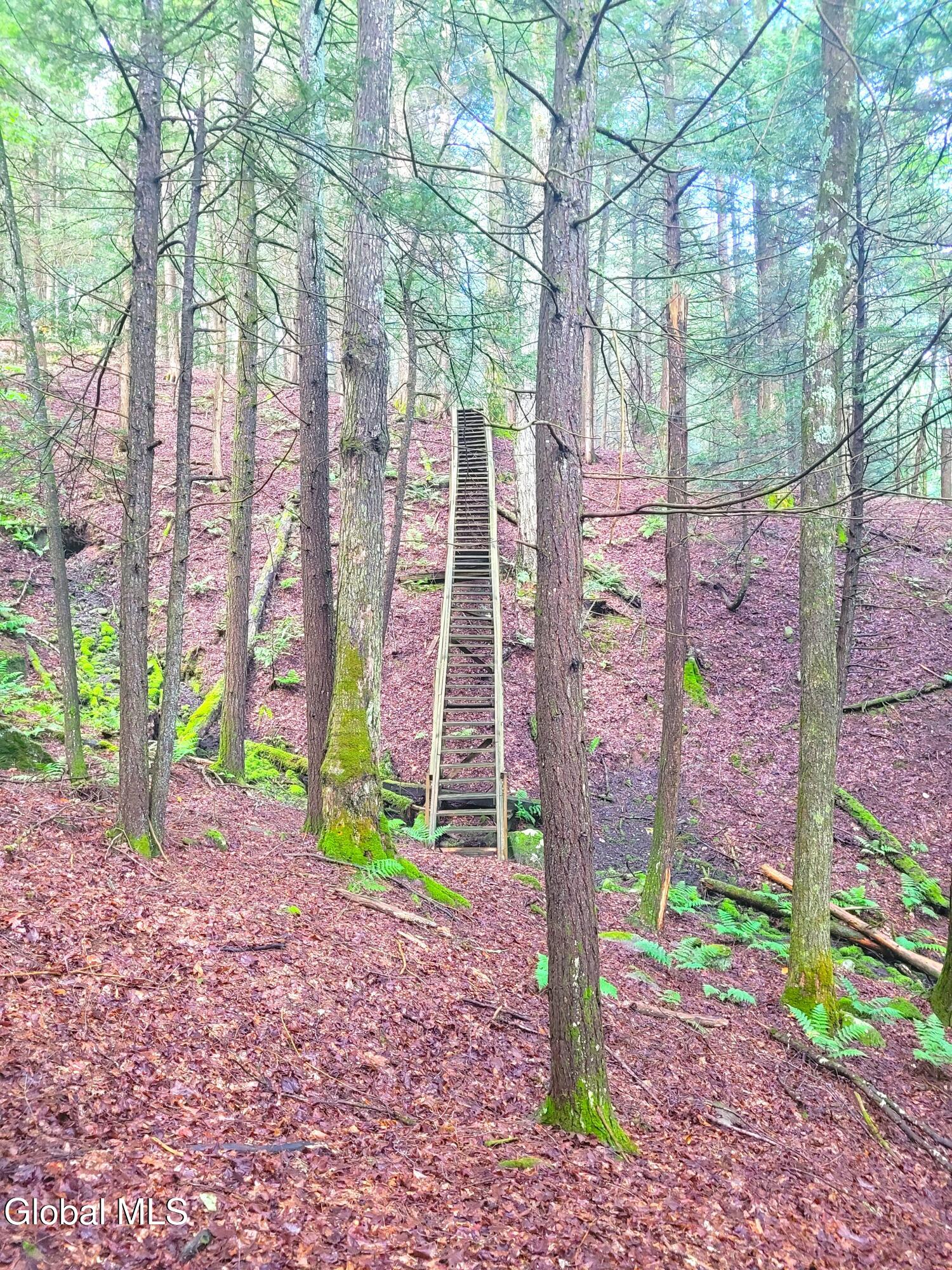 119 Brown House Road Gilboa NY 12076