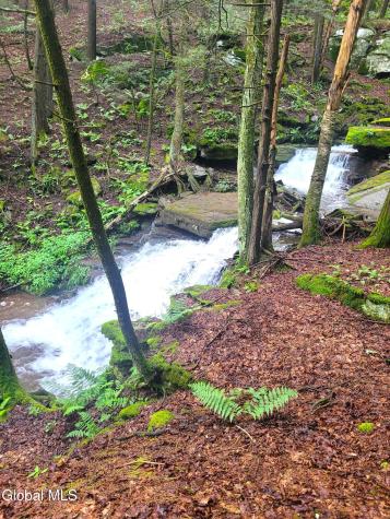 119 Brown House Road Gilboa NY 12076