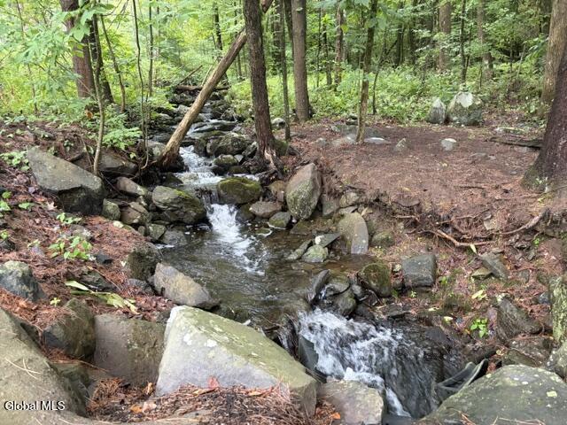 1137 Blue Factory Hill Road Cropseyville NY 12052