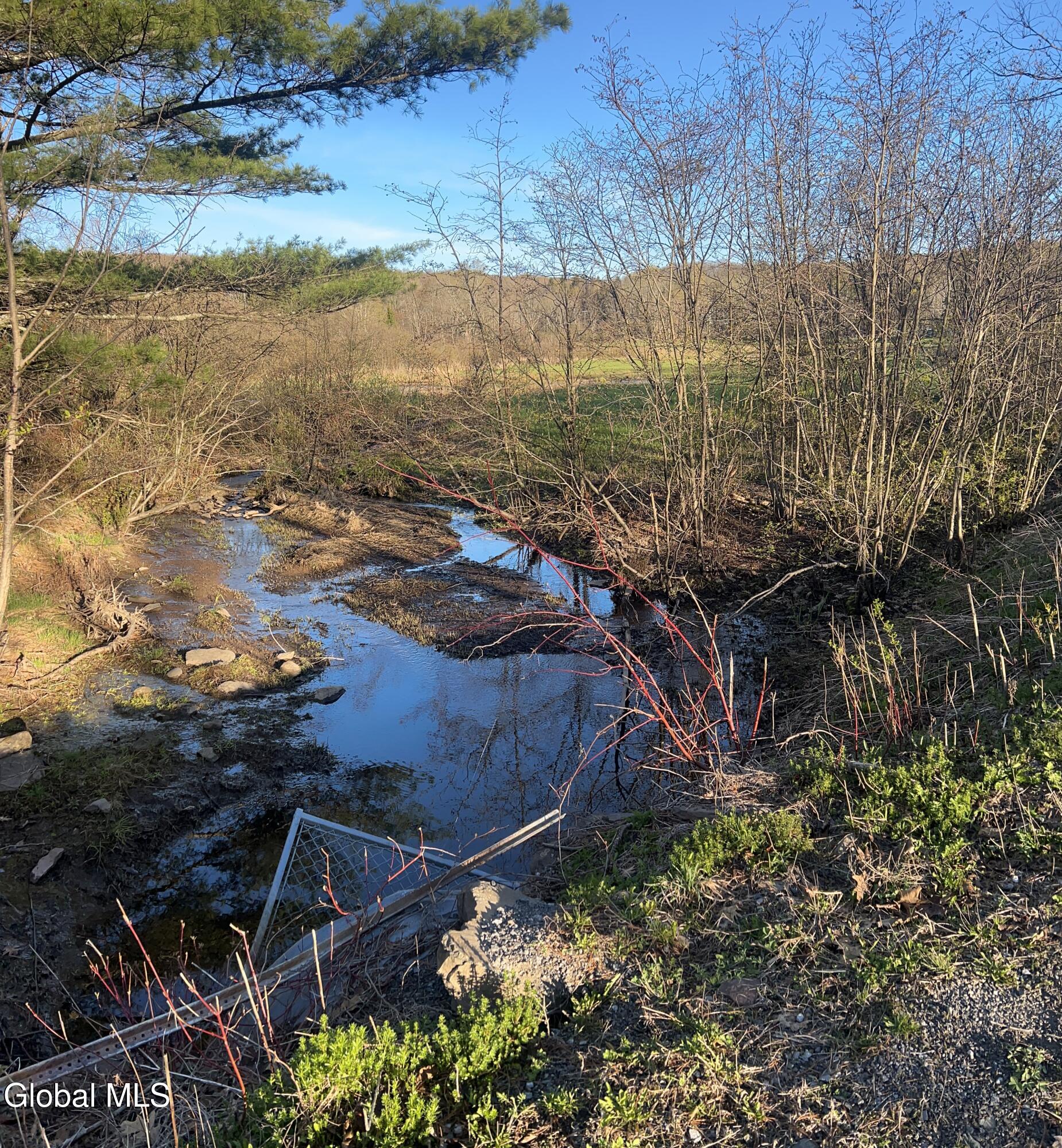 289 Bryan Road Rensselaerville NY 12147
