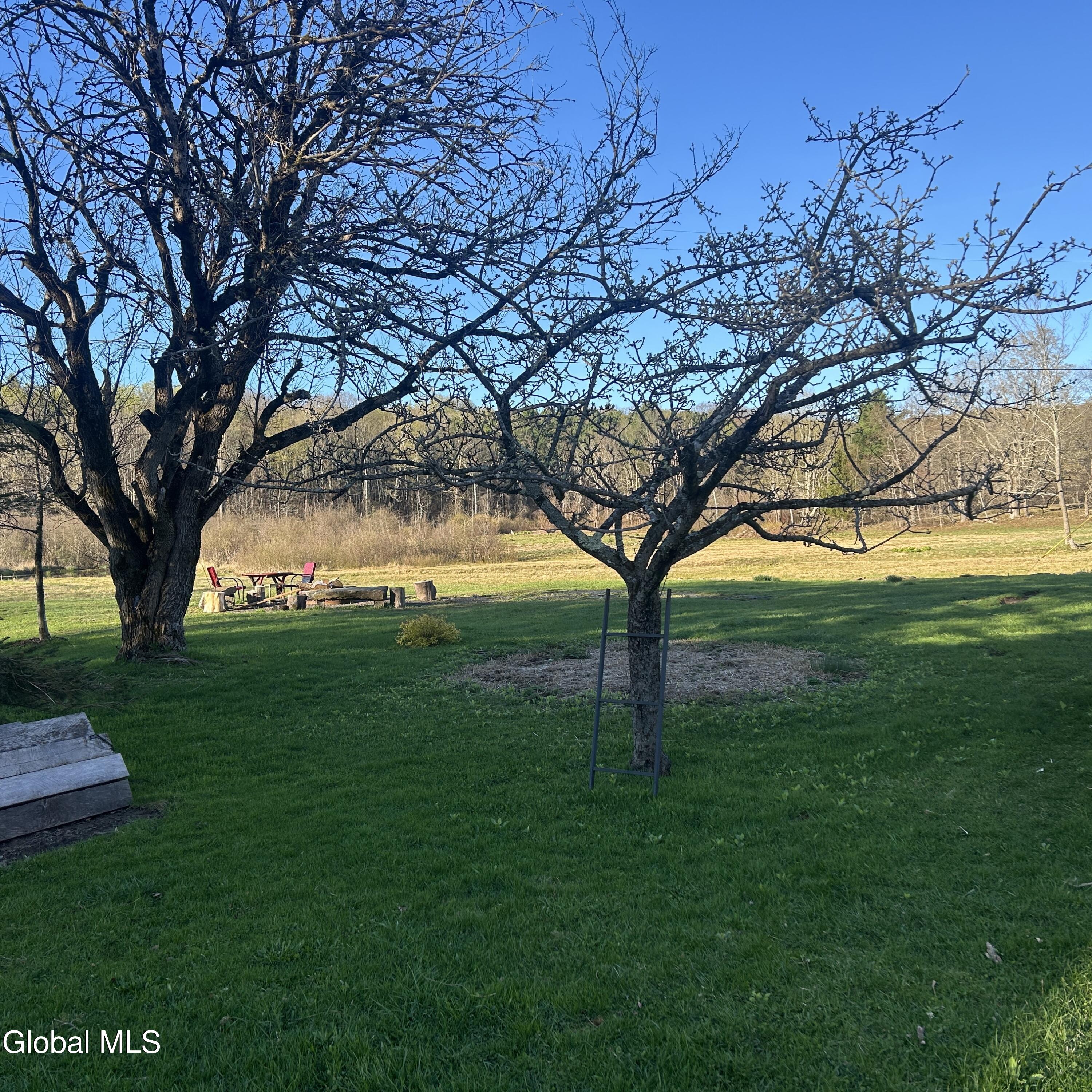 289 Bryan Road Rensselaerville NY 12147