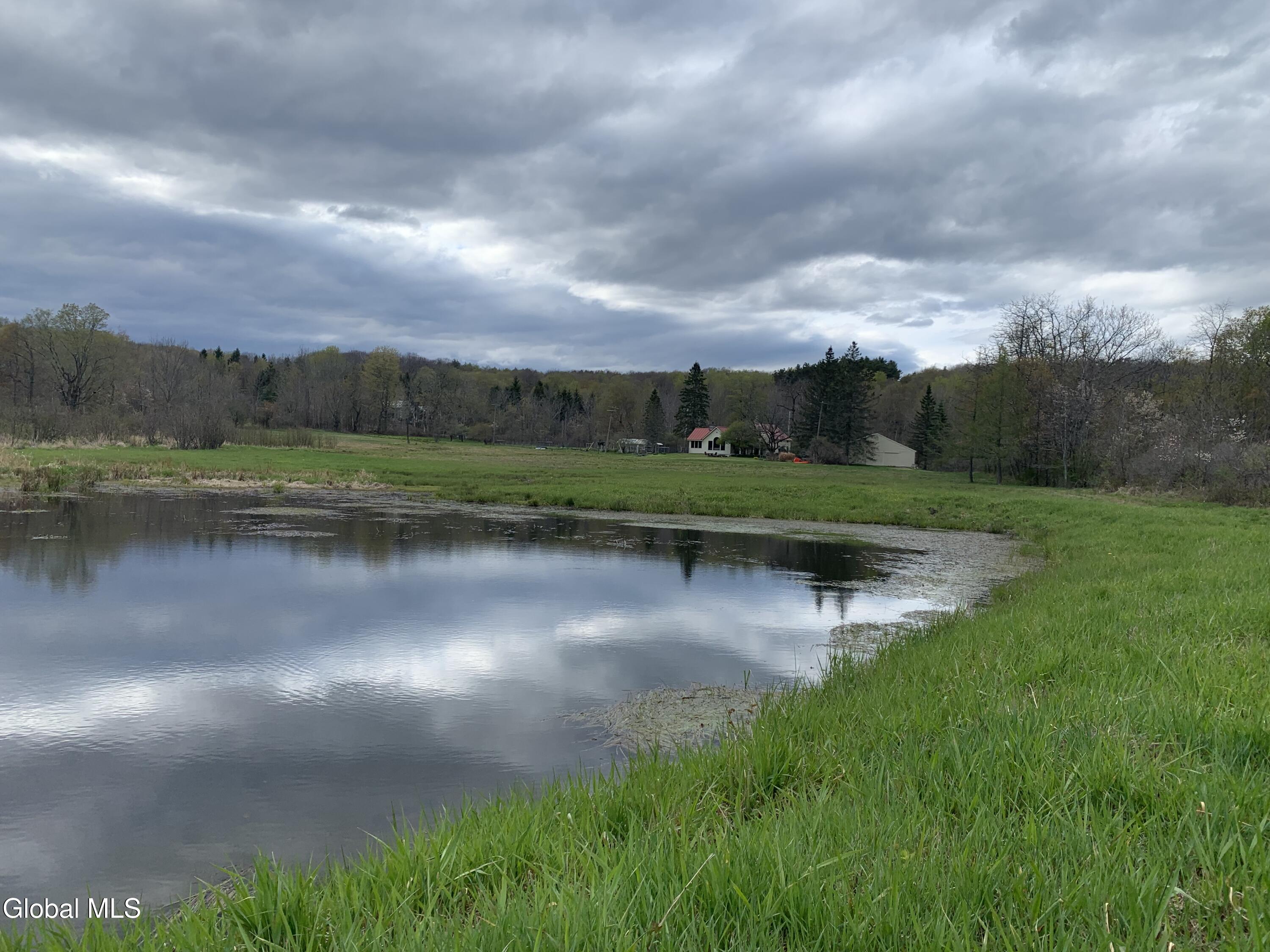 289 Bryan Road Rensselaerville NY 12147