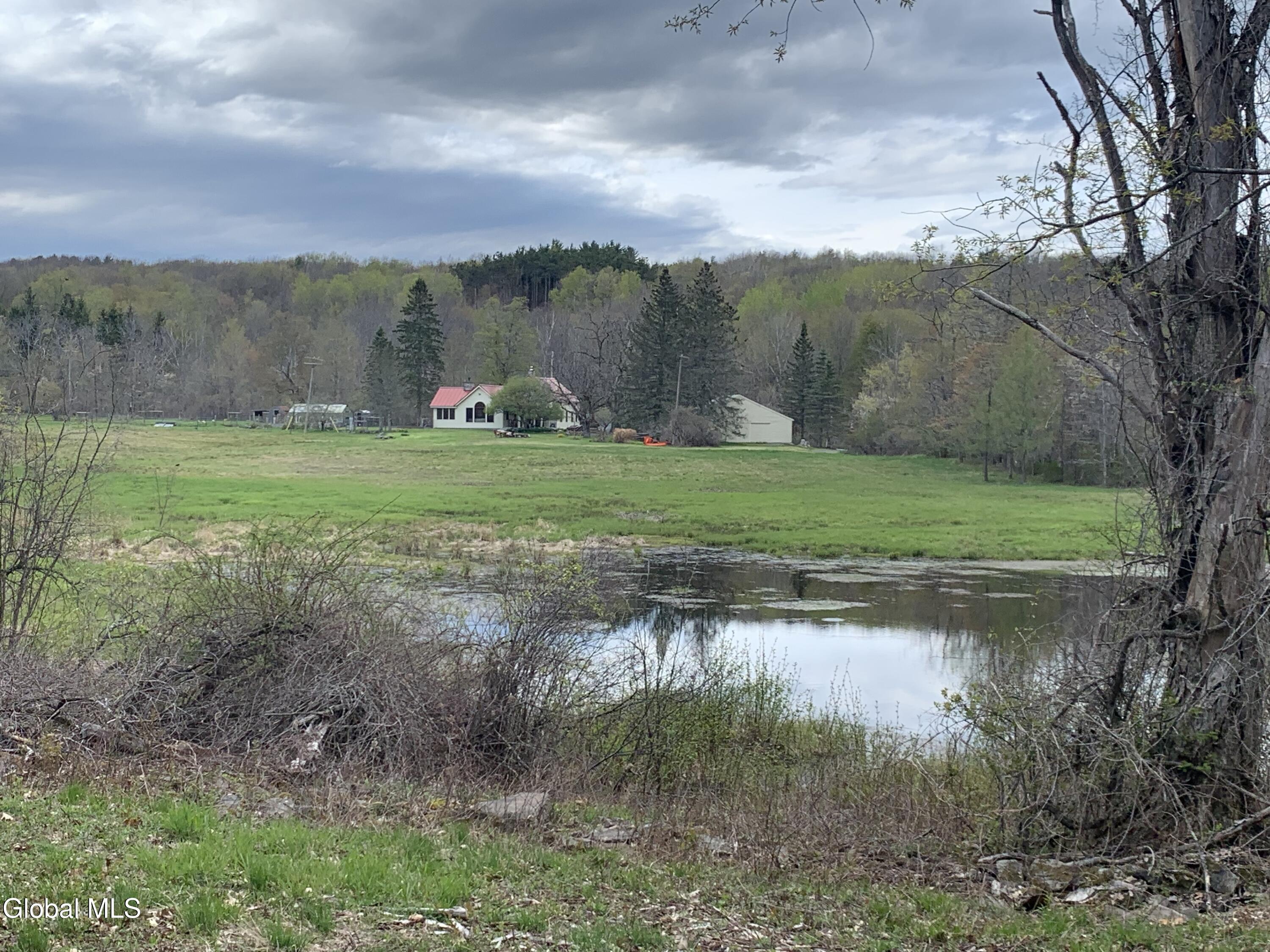 289 Bryan Road Rensselaerville NY 12147