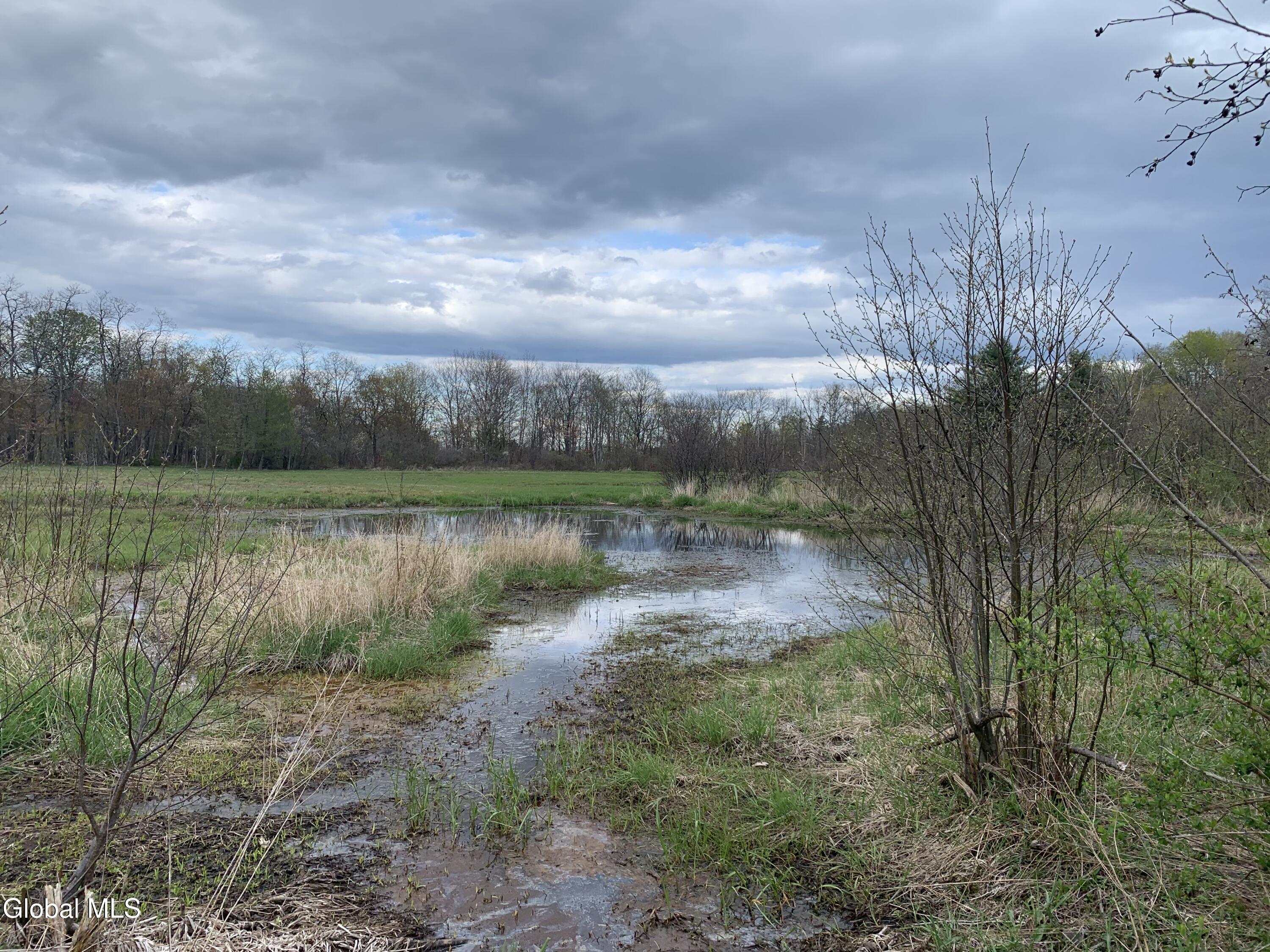 289 Bryan Road Rensselaerville NY 12147