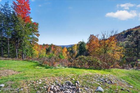 56 Olde Coach Road Diamond Point NY 12824
