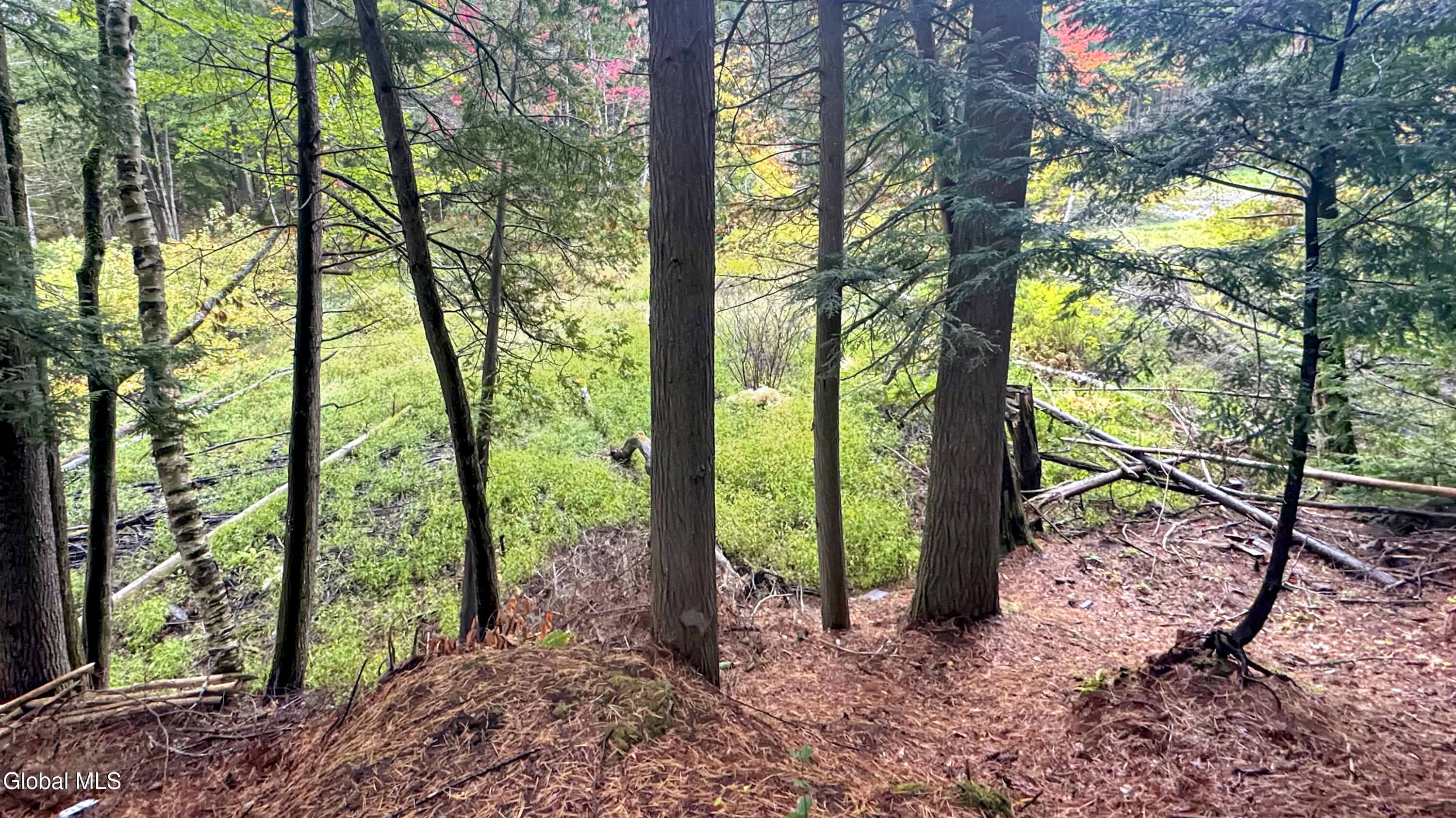24 Shufelt Way Schroon Lake NY 12870