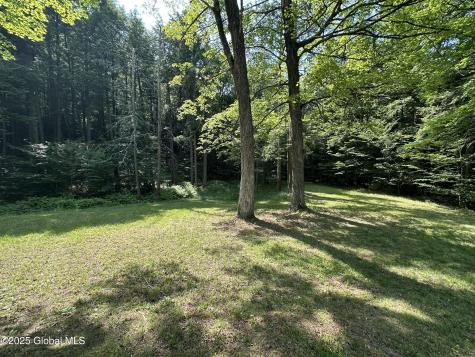 13 Taylor Woods Road Fort Ann NY 12827