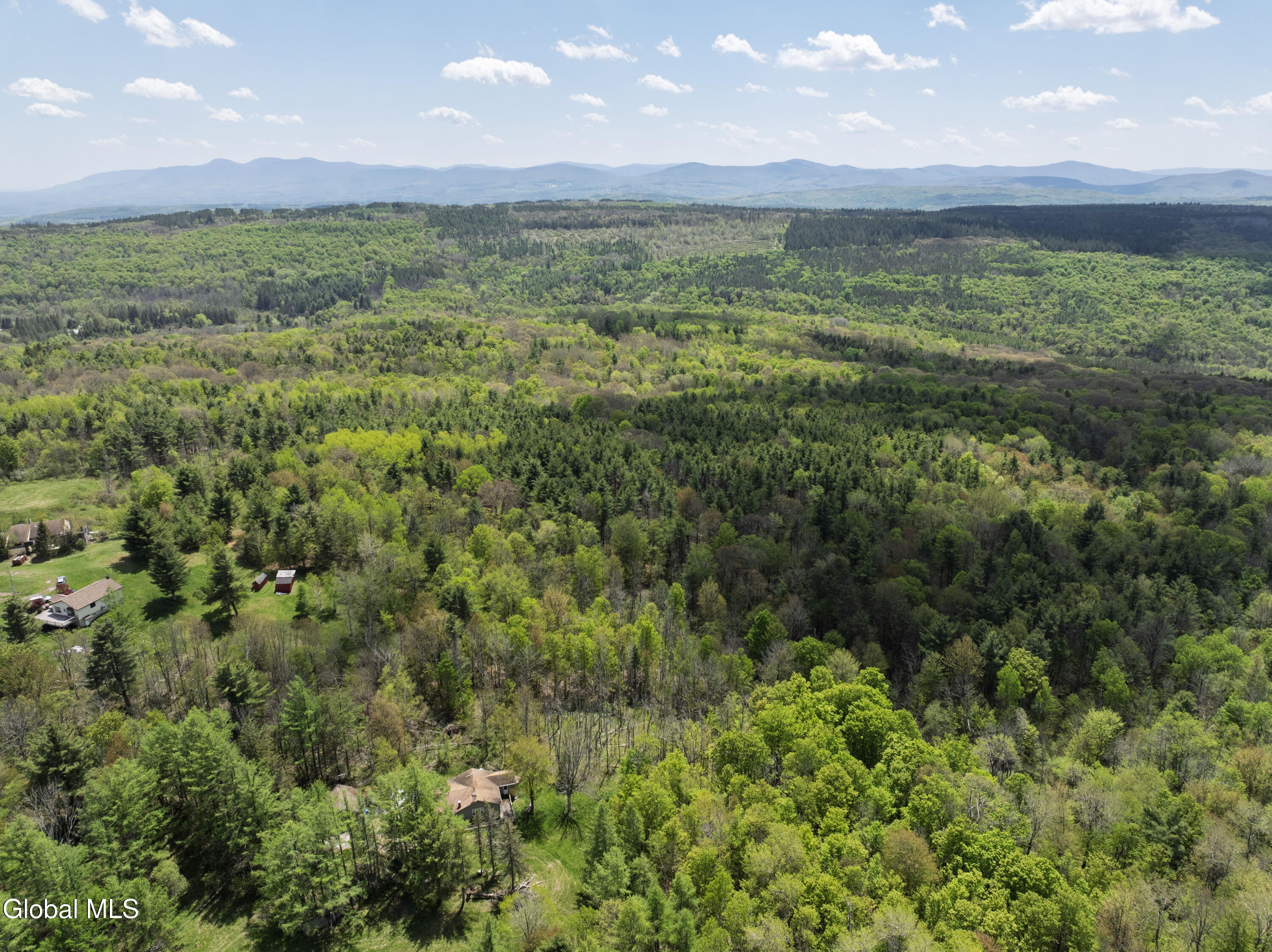 31 Church Road Rensselaerville NY 12147