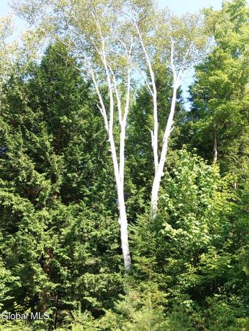 678 Dippikill Road Warrensburg NY 12885