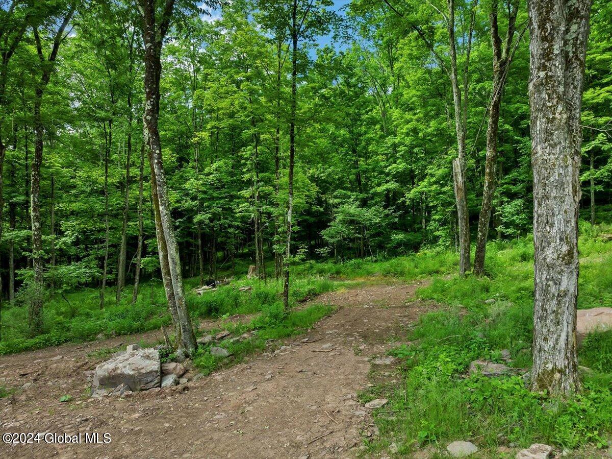 613 Betty Brook Road Kortright NY 13842