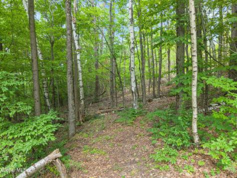 567 Cotton Hill Road Middleburgh NY 12122
