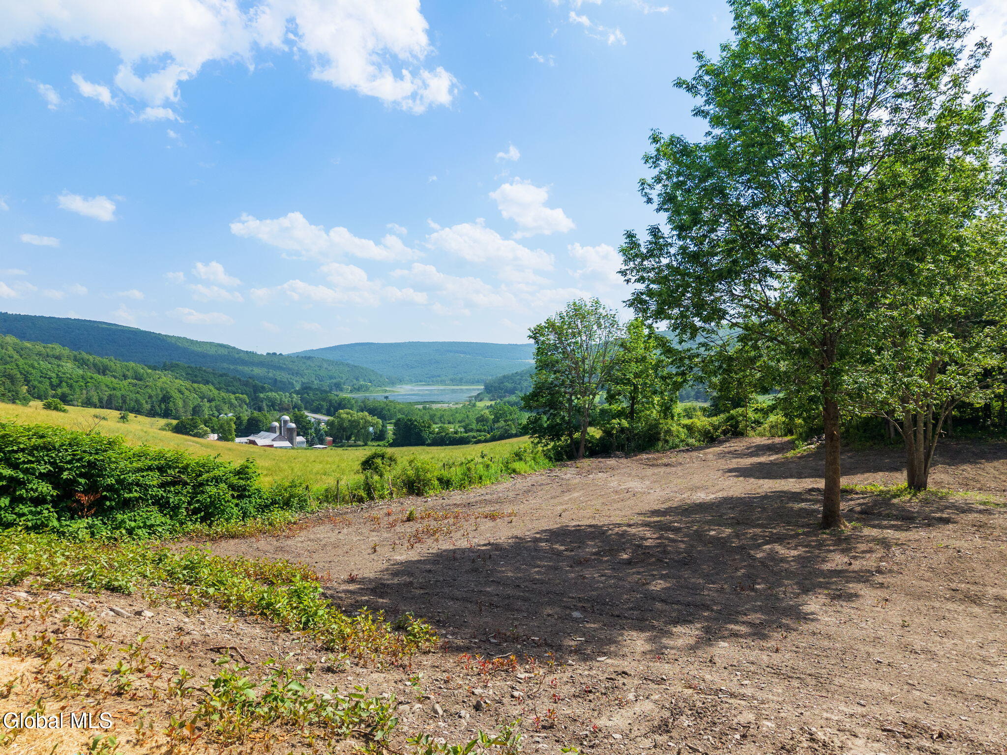 132 Debar Hill Middleburgh NY 12122