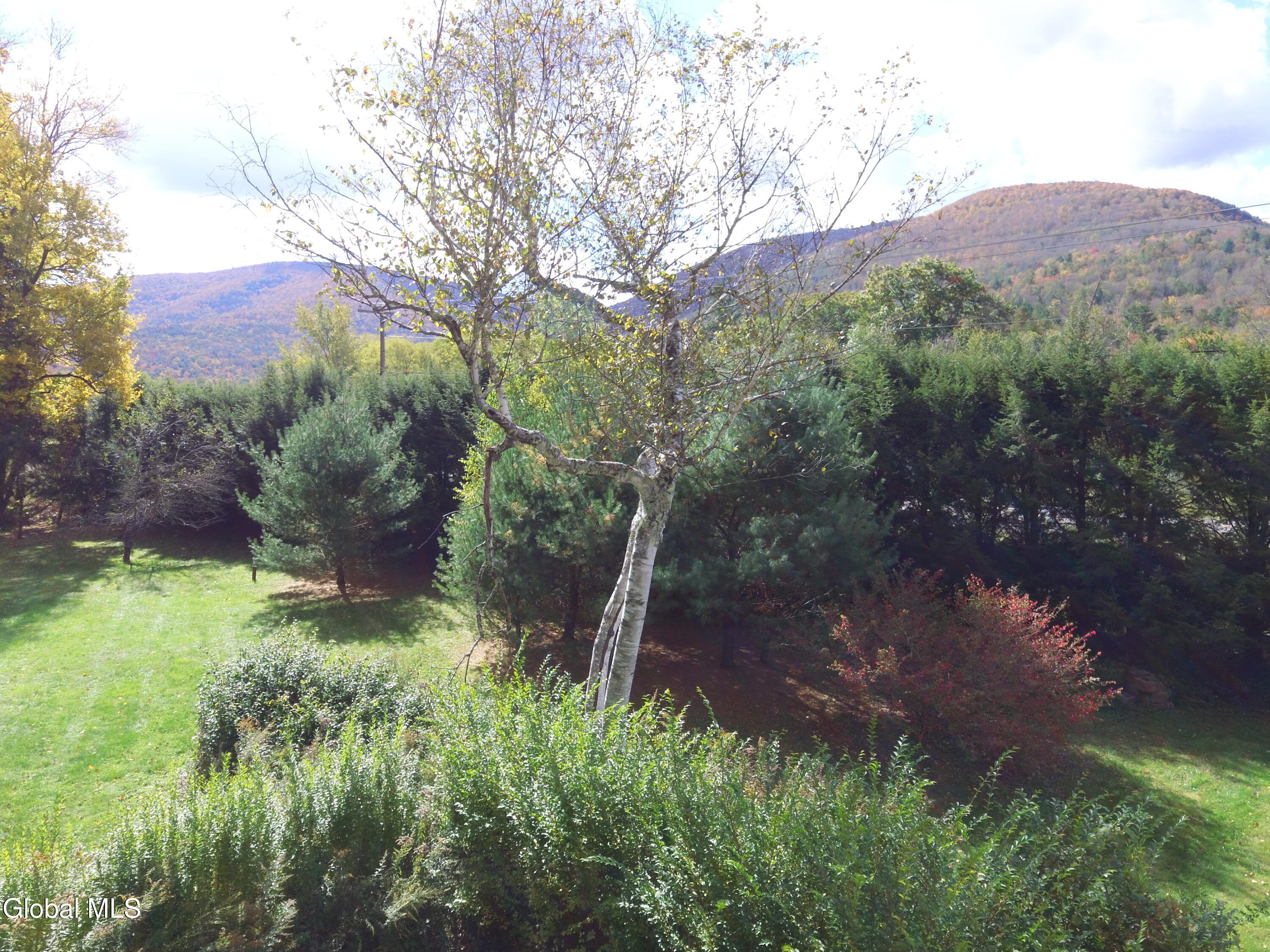 10398 Ny-23a Hunter NY 12442