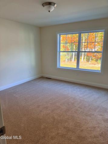 38 Tamarack Street Ballston Lake NY 12019