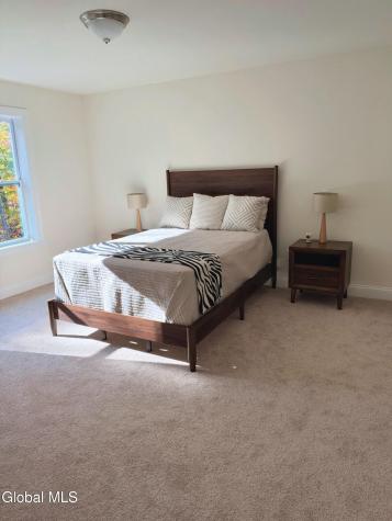 38 Tamarack Street Ballston Lake NY 12019