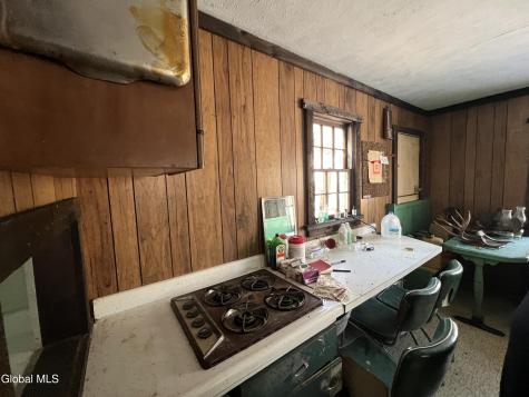 536 Bates Forest Road Conesville NY 12076