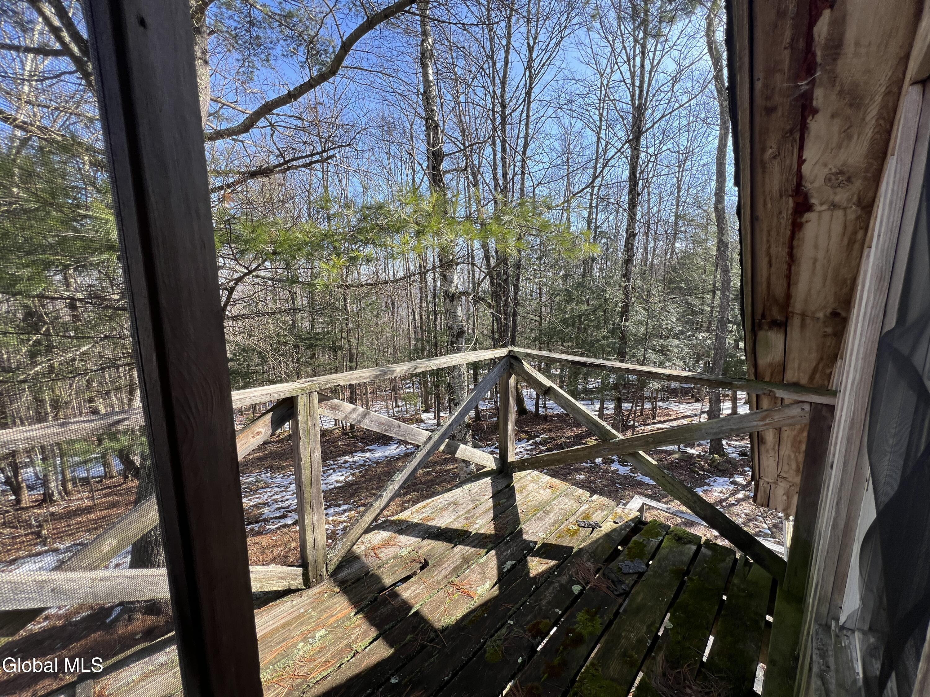536 Bates Forest Road Conesville NY 12076
