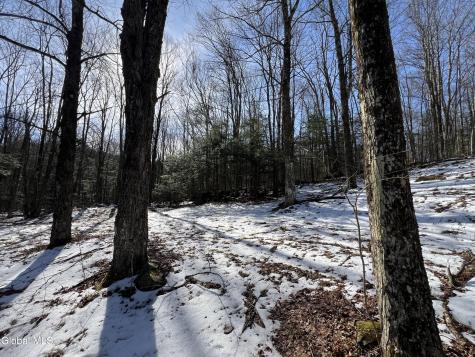 536 Bates Forest Road Conesville NY 12076