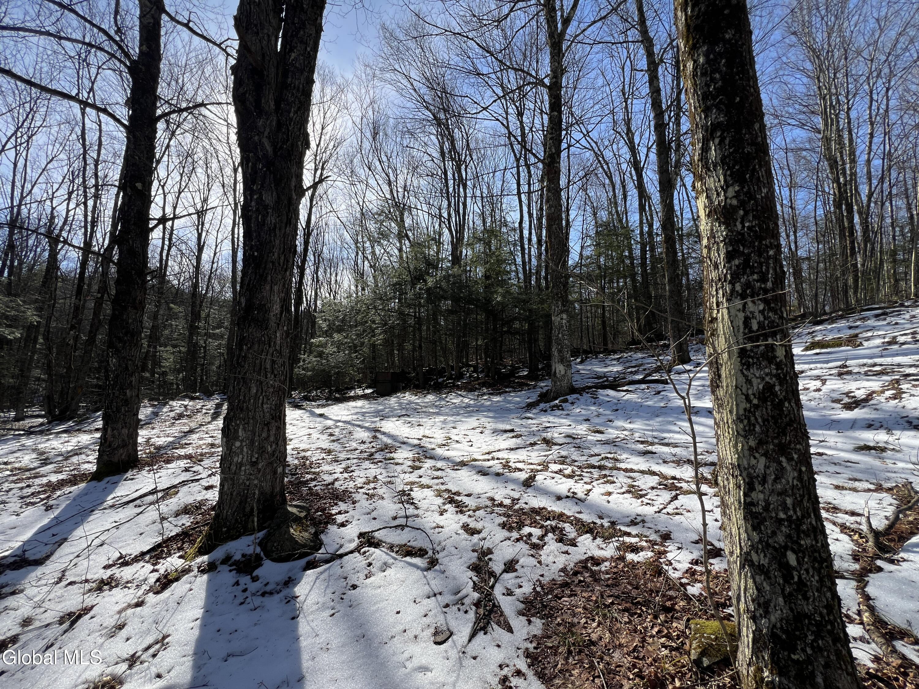 536 Bates Forest Road Conesville NY 12076