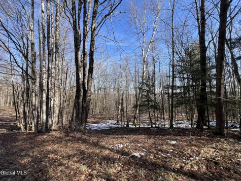 536 Bates Forest Road Conesville NY 12076
