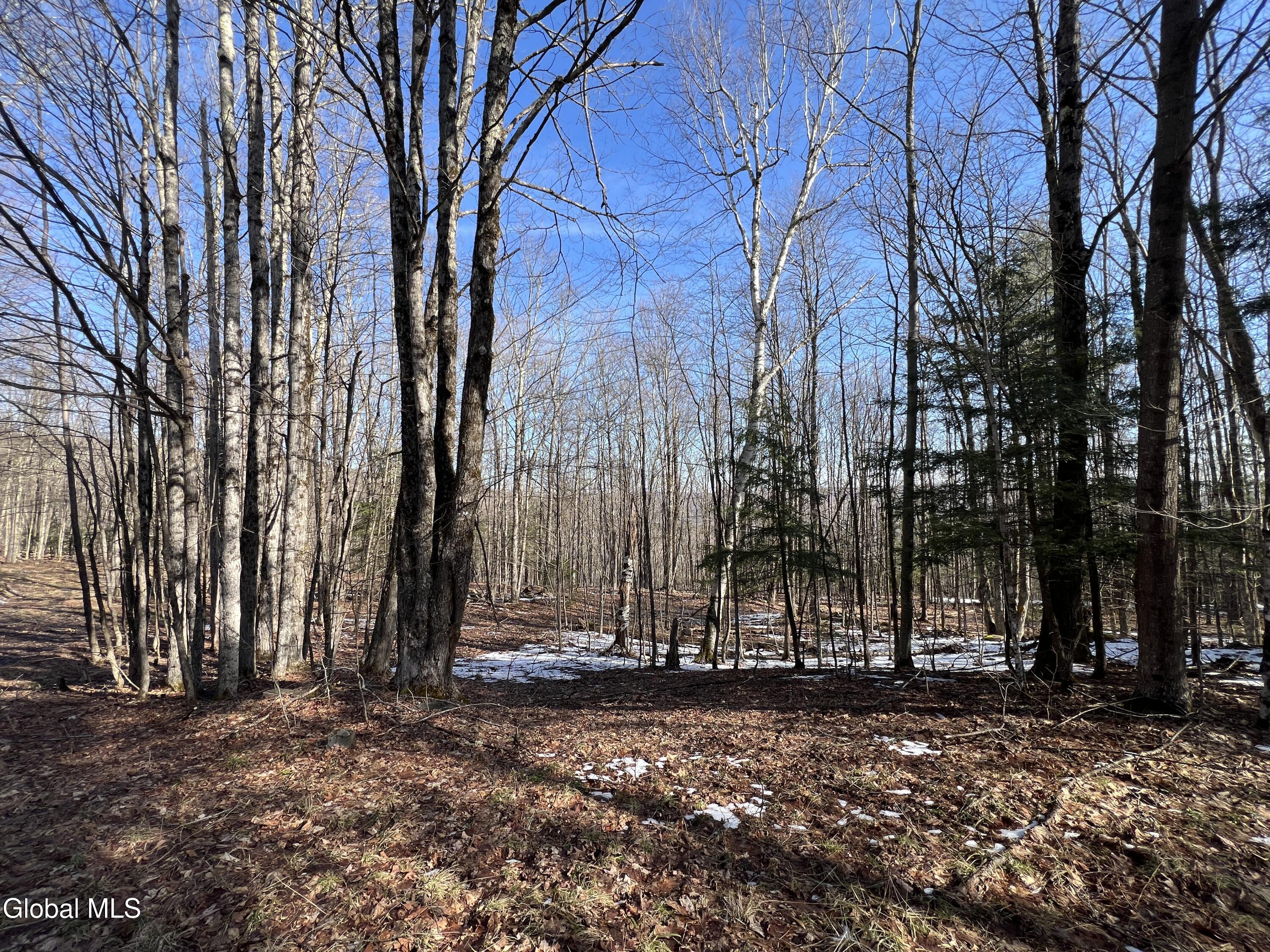 536 Bates Forest Road Conesville NY 12076