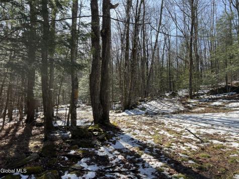 536 Bates Forest Road Conesville NY 12076