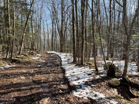 536 Bates Forest Road Conesville NY 12076