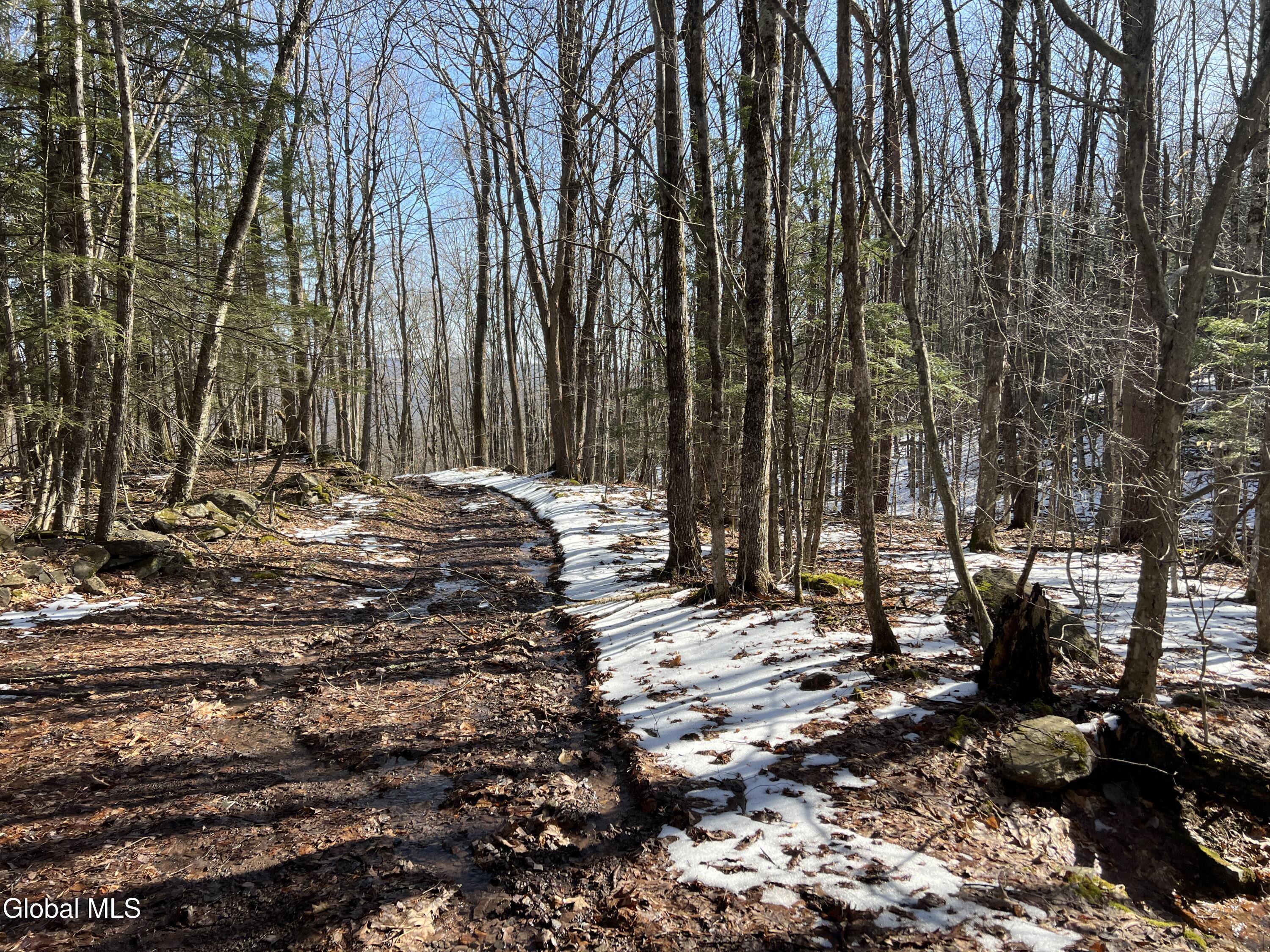 536 Bates Forest Road Conesville NY 12076