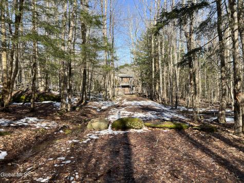 536 Bates Forest Road Conesville NY 12076