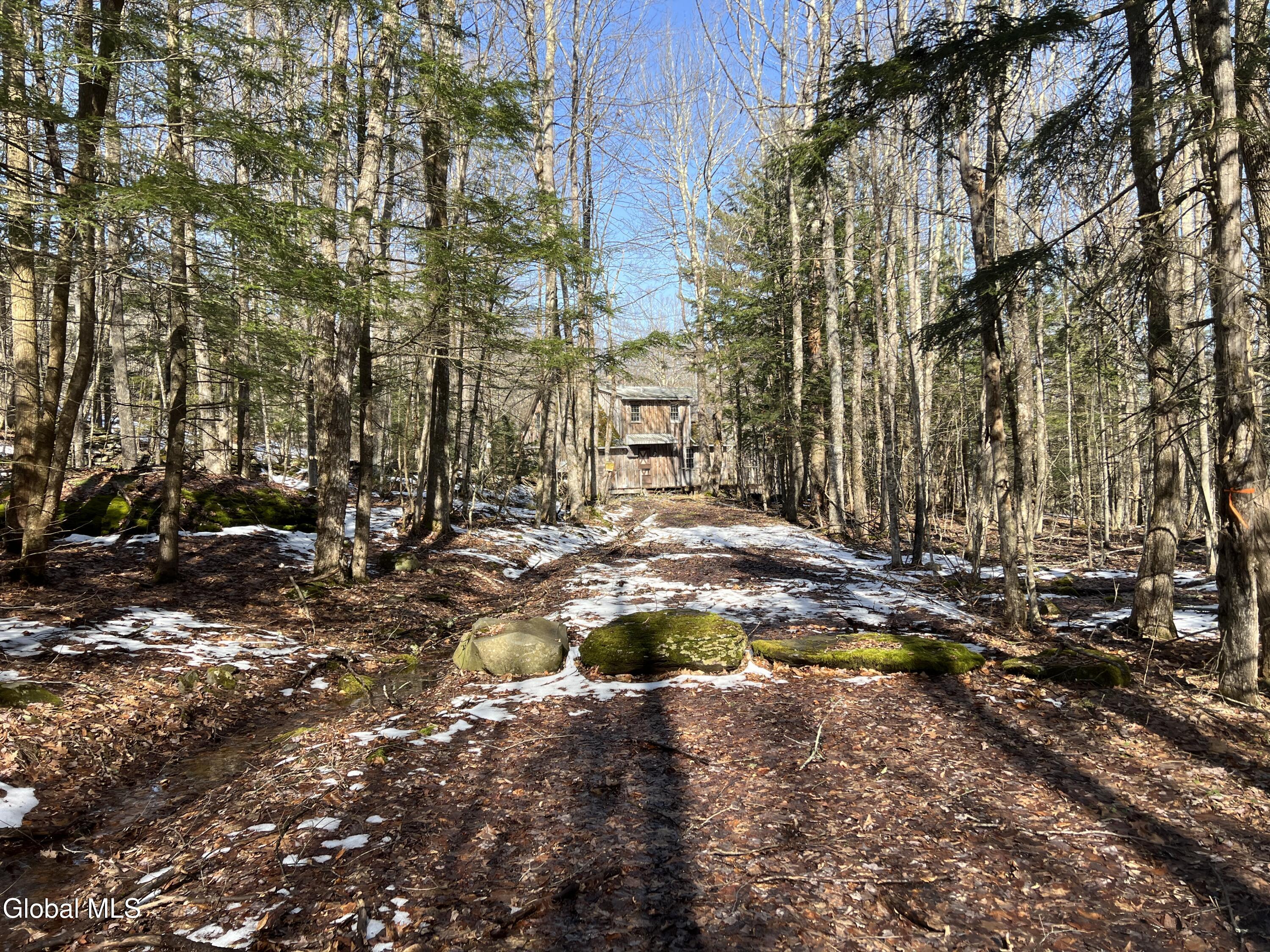 536 Bates Forest Road Conesville NY 12076
