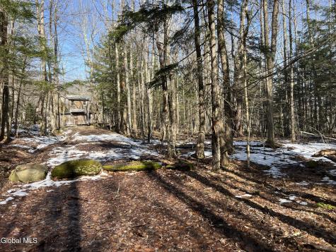 536 Bates Forest Road Conesville NY 12076